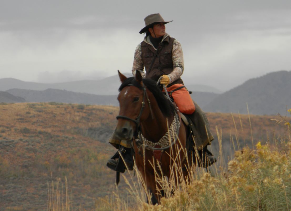 Hitm 11 08 16 Endurance Day Endurance Mustangs With Mark Montgomery Long Rider Szesciorka Horse Radio Network