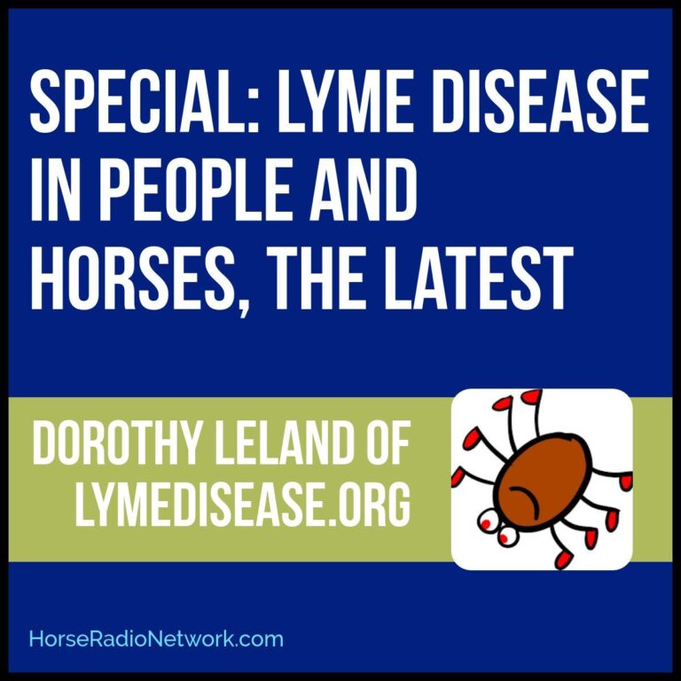 Lyme in People and Horses, the Latest for March 29th, 2018