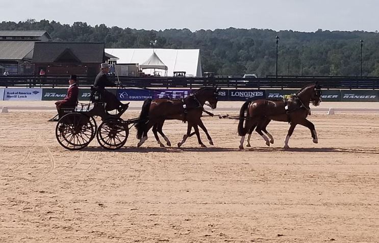 WEG Special – Driving Dressage Plus Para, Vaulting and USA Gold in Jumping for September 22nd, 2018