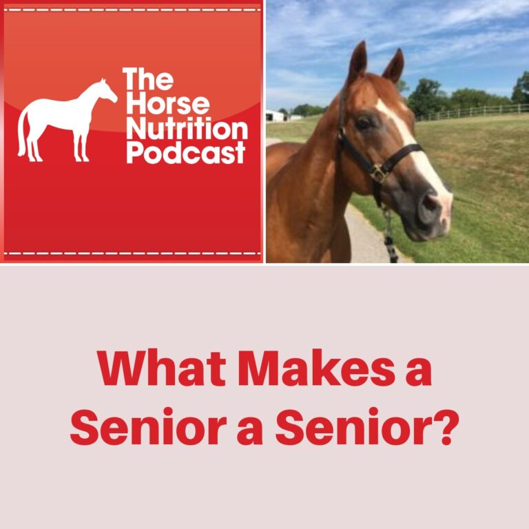 What Makes a Senior a Senior? The Horse Nutrition Podcast
