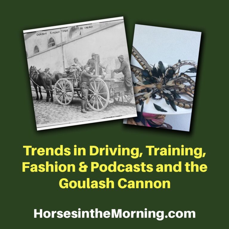 All About Trends, Trends in Driving, Training, Fashion and Podcasts and the Goulash Cannon for Jan