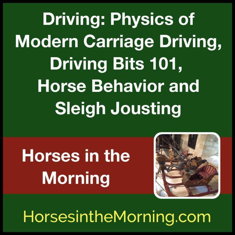 Physics of Modern Carriage Driving, Driving Bits 101, Horse Behavior and Sleigh Jousting for Feb