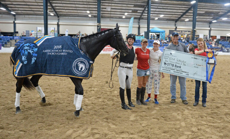 Retired Racehorse #1: How to Pick an OTTB with Elisa Wallace, 52 Thoroughbreds and Golden Annie by Kentucky Performance Products