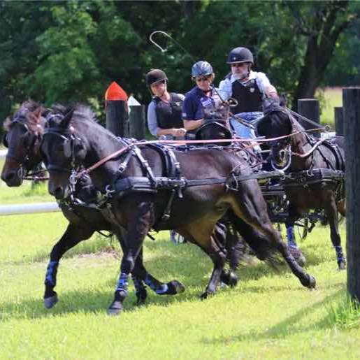 What to Wear, Latest from ADS, Foal Diarrhea and Driving Cones for June 6, 2019
