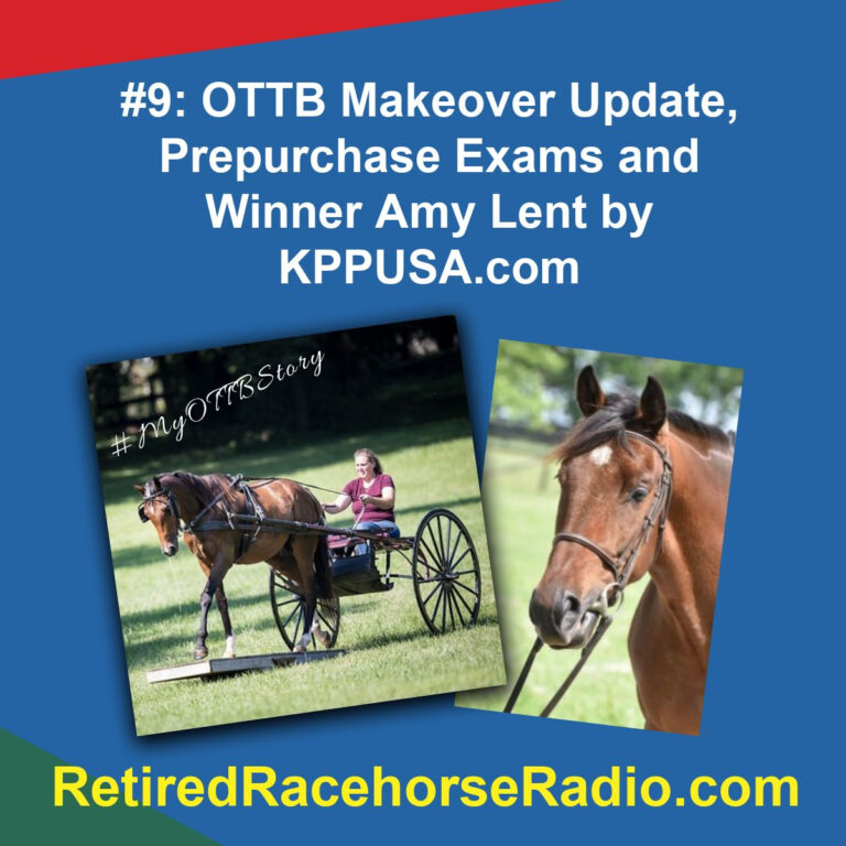 #9:  OTTB Makeover Update, Prepurchase Exams and Winner Amy Lent by KPPUSA