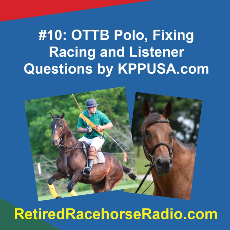 #10: OTTB Polo, Fixing Racing and Listener Questions by KPPUSA