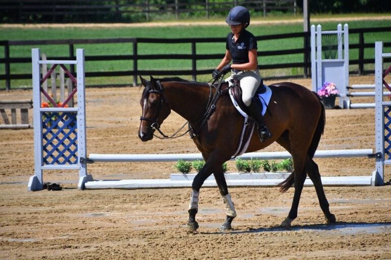 #11:  Justify 111 Days to the Triple Crown, Tomato Tomahto and Tam O’ Shanter by KPPUSA