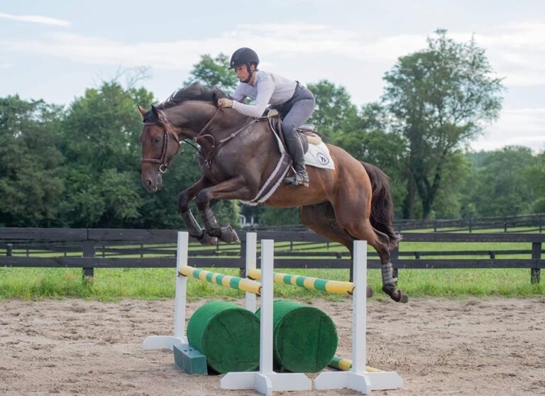 #14:  New Vocations, Retired Racehorse Project and RRP Spotlight Rider Clare Mansmann by Kentucky Performance Products