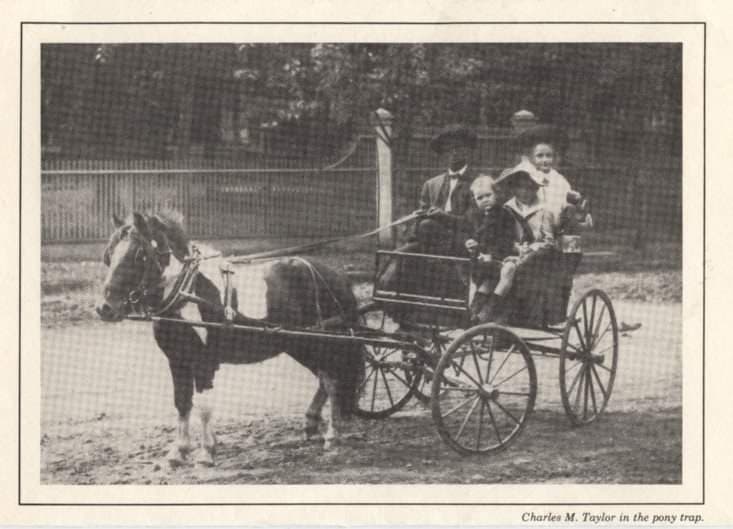 History of Mini and Pony Carts, CBD Oil for Horses and Making Lists for Sept