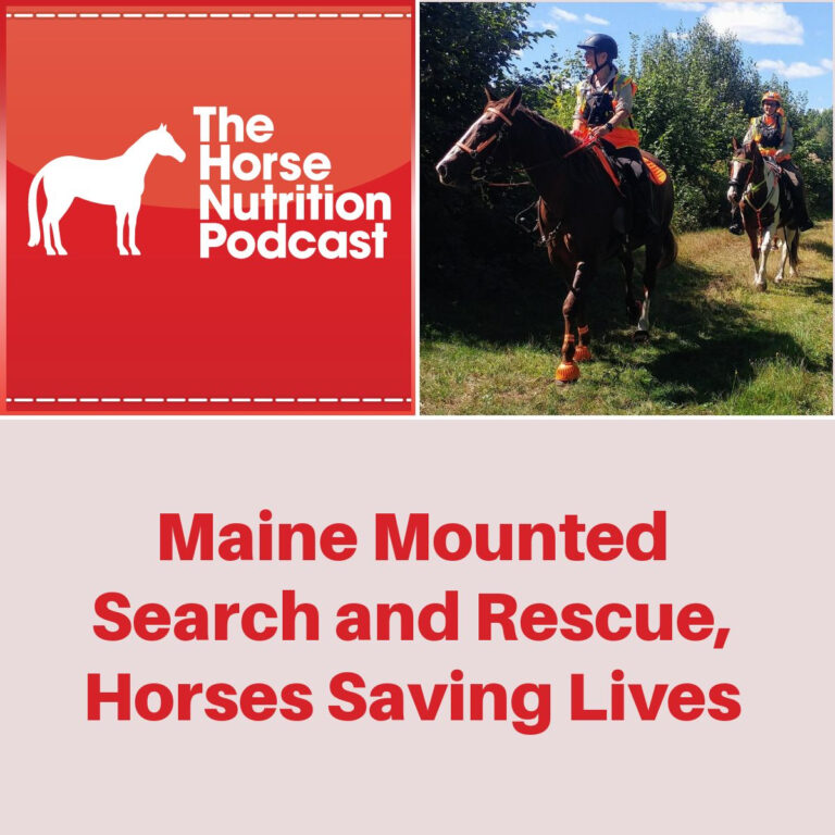 Maine Mounted Search and Rescue, Horses Saving Lives