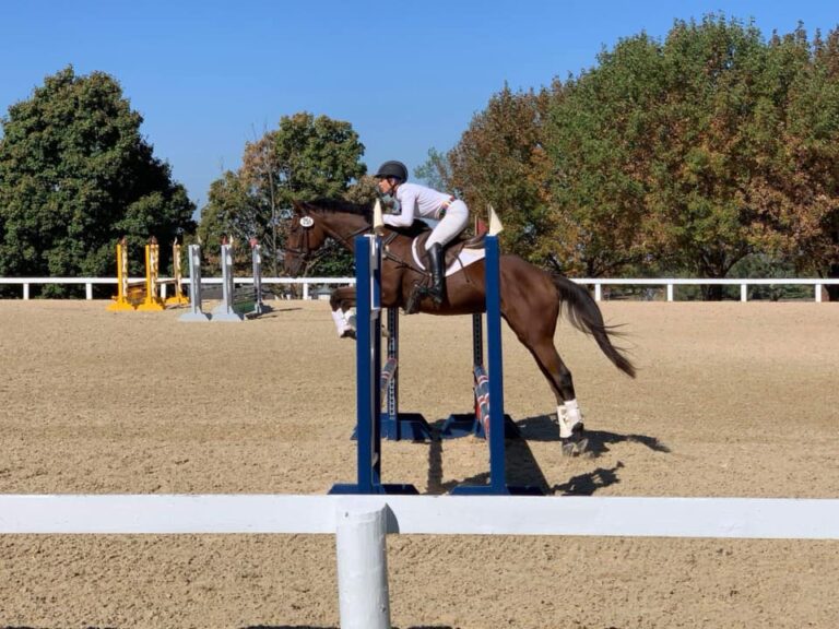 #17: From the Retired Racehorse Project Thoroughbred Makeover