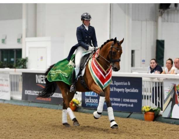 Thoroughbred Dressage, a Little Red Eventing Mare, and New Vocations Adoptable Horse of the Week