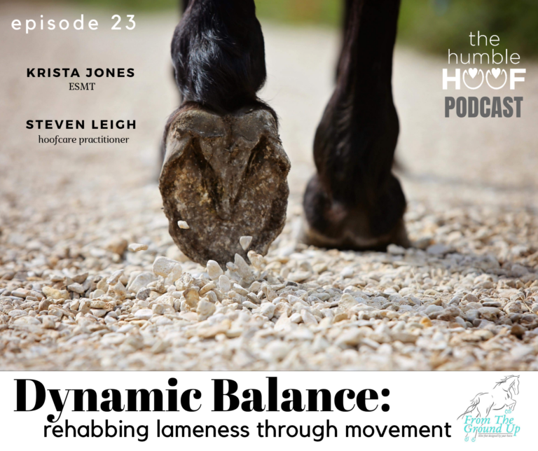 Dynamic Balance: Rehabbing Lameness Through Movement with Krista Jones and Steven Leigh