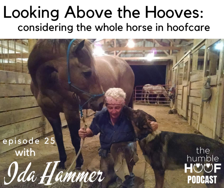Looking Above the Hooves: Considering the Whole Horse in Hoofcare with Ida Hammer