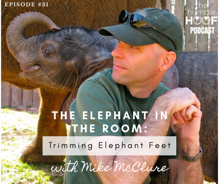 The Elephant in the Room: Trimming Elephant Feet with Mike McClure
