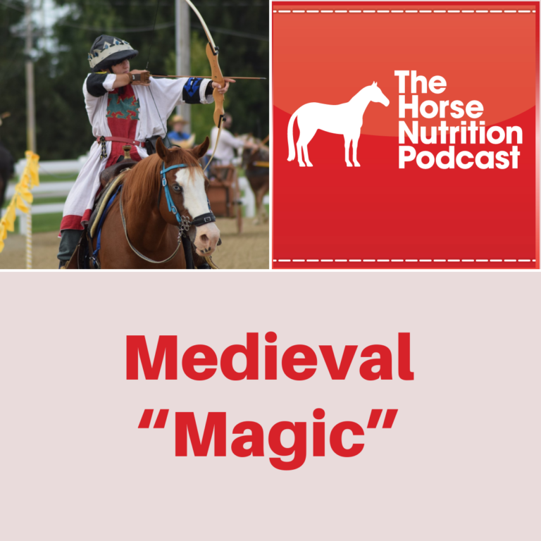 Medieval “Magic”