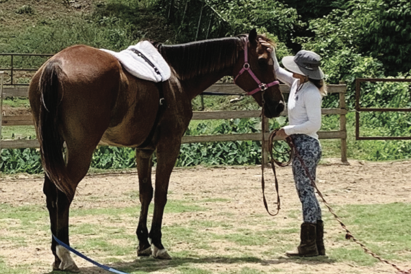 52: Caribbean Thoroughbred Aftercare, Broodmare Bunch, Spring Grooming with Leandra, Tilt by Kentucky Performance Products