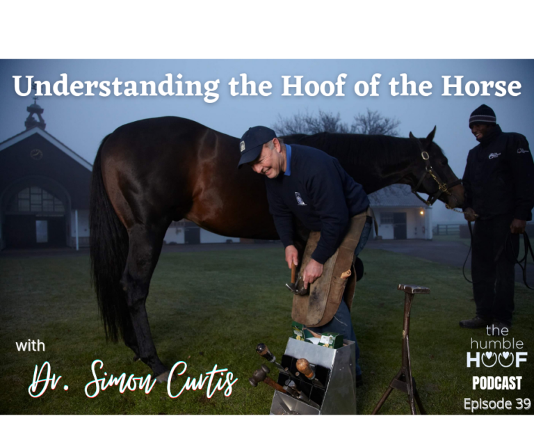 Understanding the Hoof of the Horse with Dr