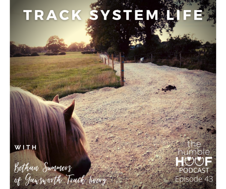 Track System Life: Bethan Summers of Gawsworth Track Livery