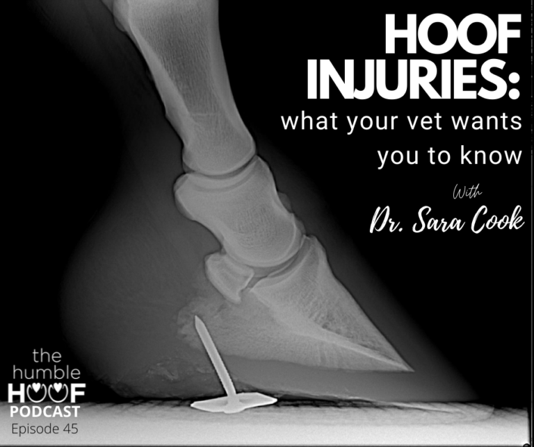 Hoof Injuries: What Your Vet Wants You to Know with Dr