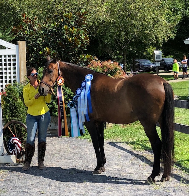 62: National Standardbred Show, Pinhook to TB Makeover, and Coast by Kentucky Performance Products