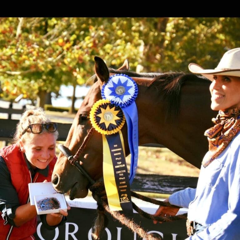 64: The Perfect Sales Photo, Ranch Work & Competitive Trail, Majestic Affair by Kentucky Performance Products