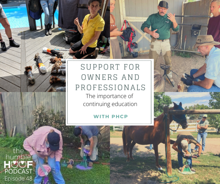 Support for Owners and Professionals: The Importance of Continuing Education with PHCP