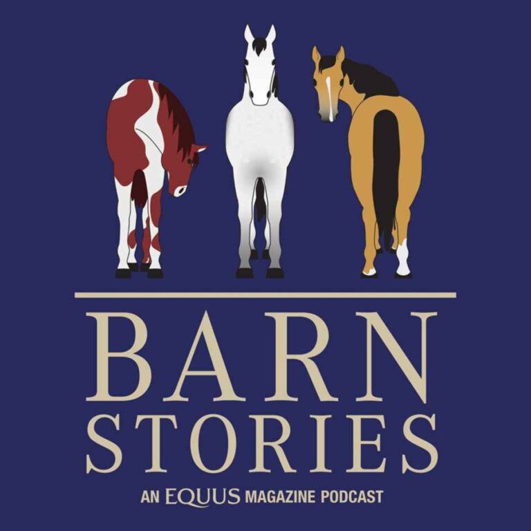 Freeze Frame | Barn Stories: Ep
