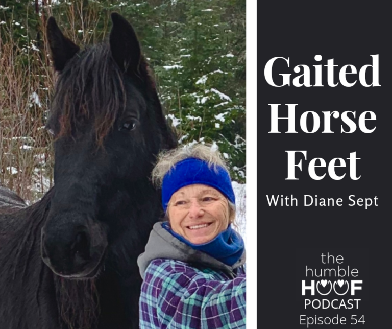 Gaited Horse Feet with Diane Sept
