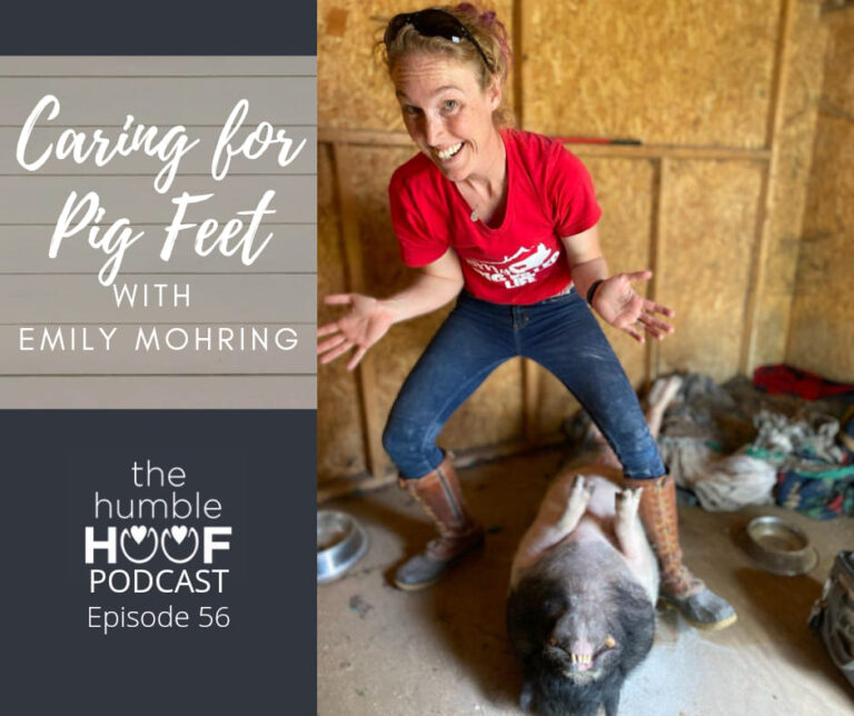 Caring for Pig Feet with Emily Mohring