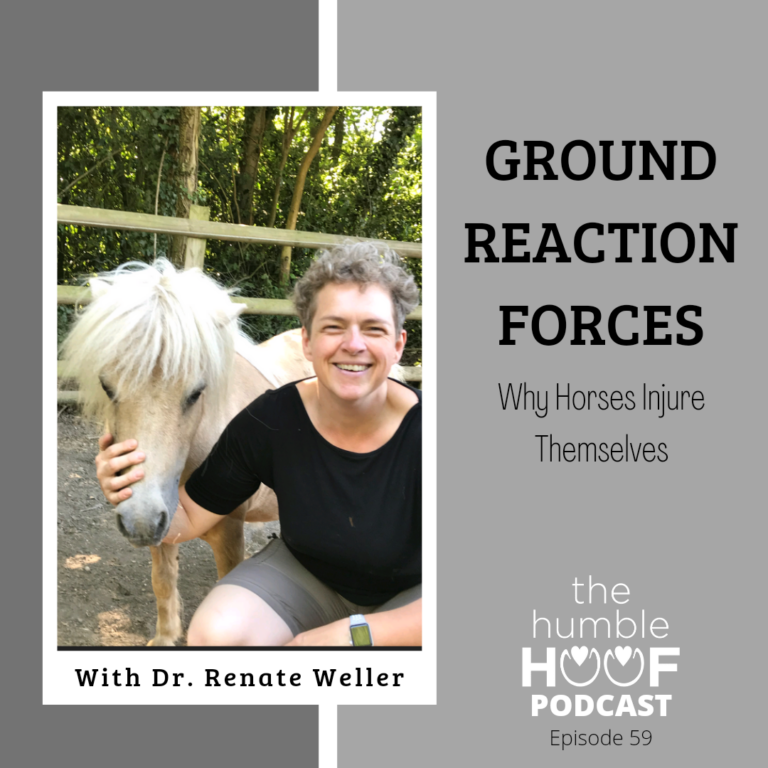 Ground Reactions Forces: Why Horses Injure Themselves with Dr