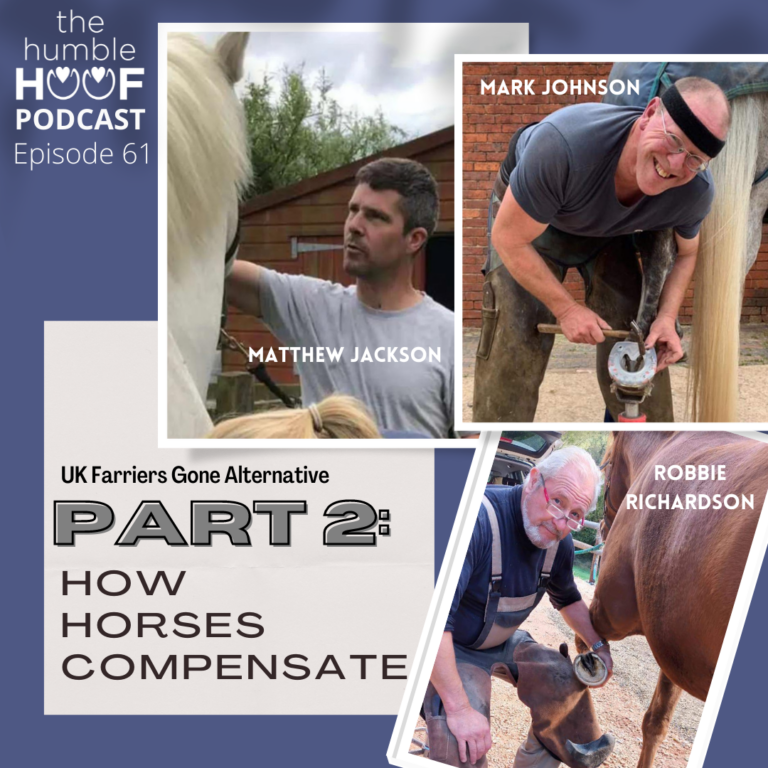 UK Farriers Pt 2: How Horses Compensate