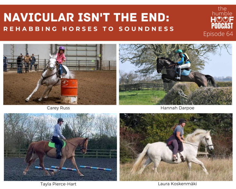 Navicular Isn’t the End: Rehabbing Horses to Soundness
