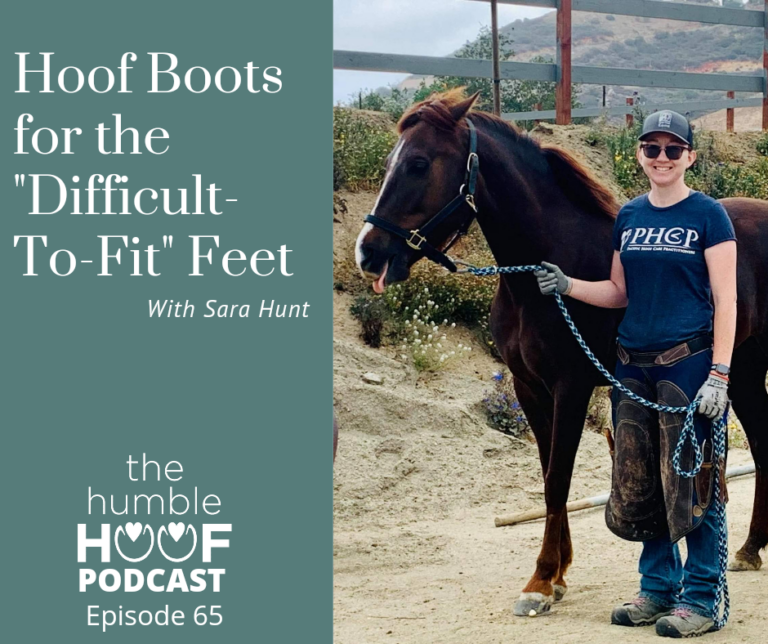 Hoof Boots for the “Difficult-to-Fit” Feet with Sara Hunt