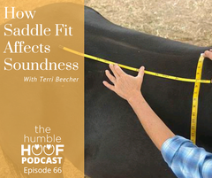 How Saddle Fit Affects Soundness with Terri Beecher
