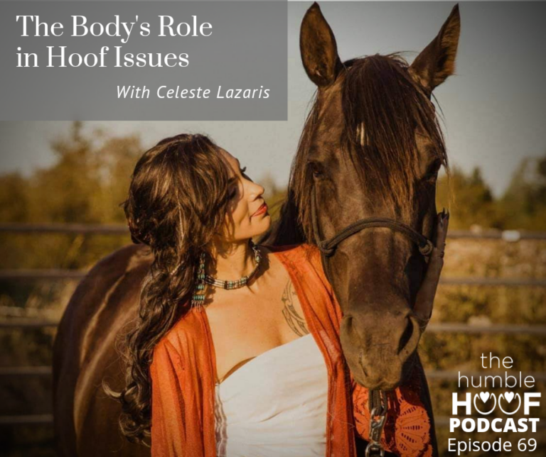 The Body’s Role in Hoof Issues with Celeste Lazaris
