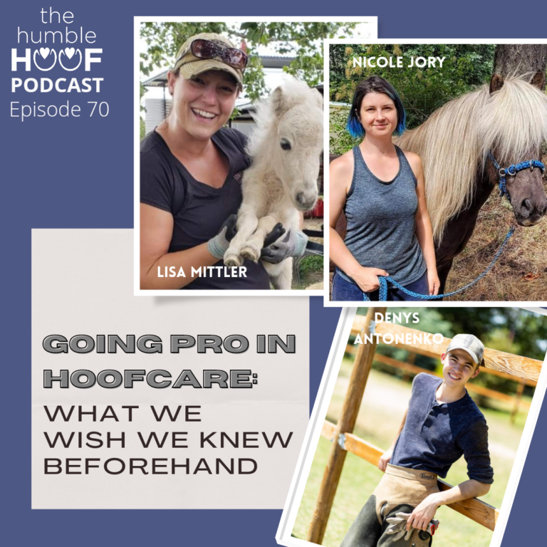 Going Pro In Hoofcare: What We Wish We Knew Beforehand