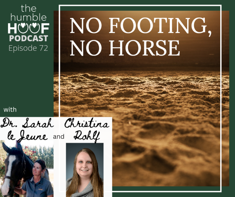 No Footing, No Horse with Dr