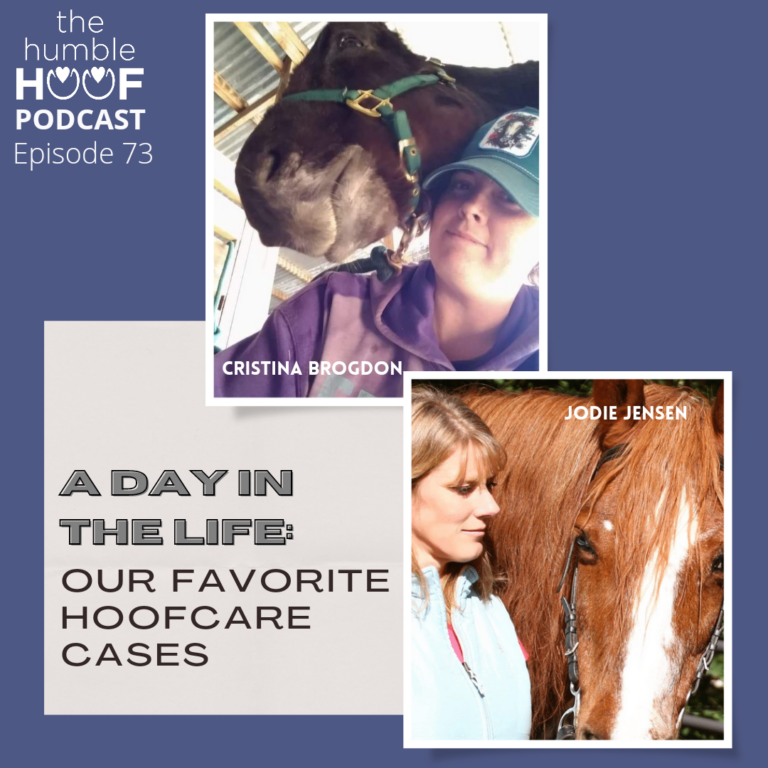 A Day in the Life: Our Favorite Cases
