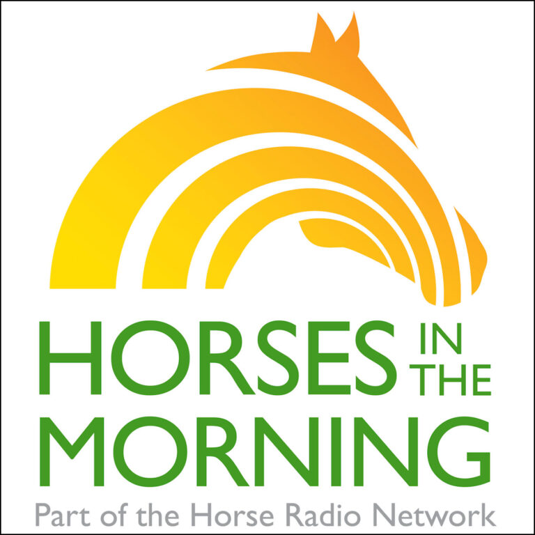 HITM for Nov 15, 2022 CHA:  Teaching Horses to Stop Softly