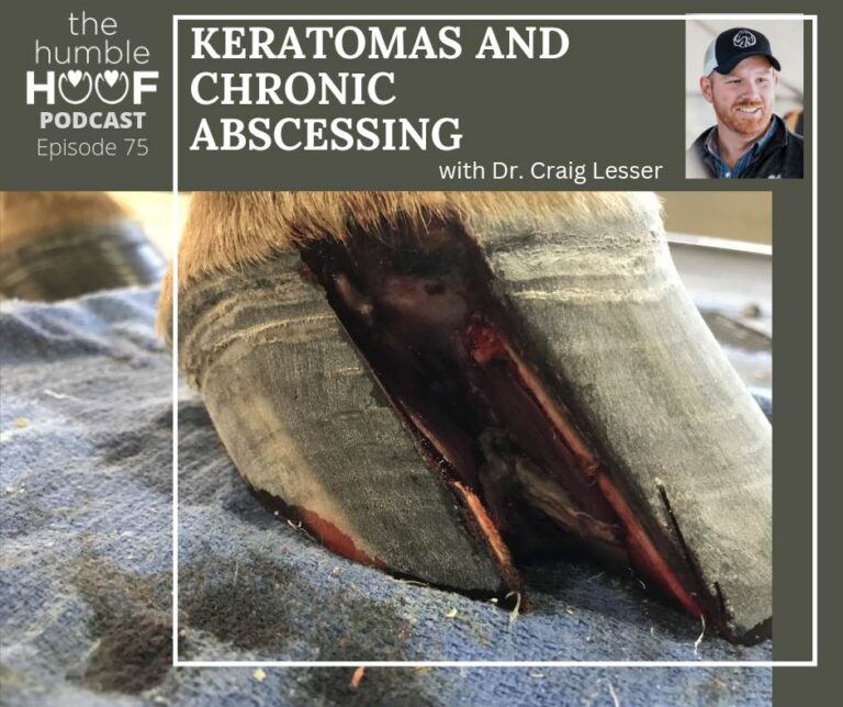 Keratomas and Chronic Abscessing with Dr