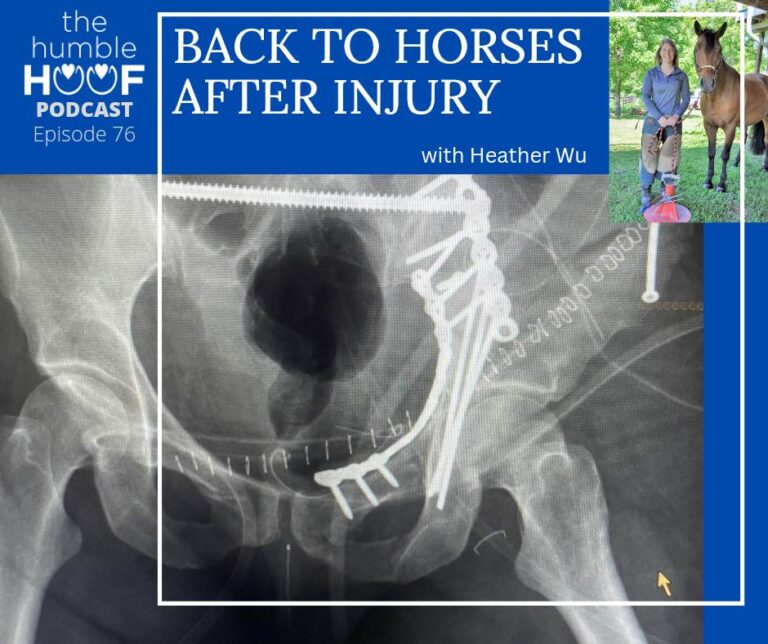 Back to Horses After Injury