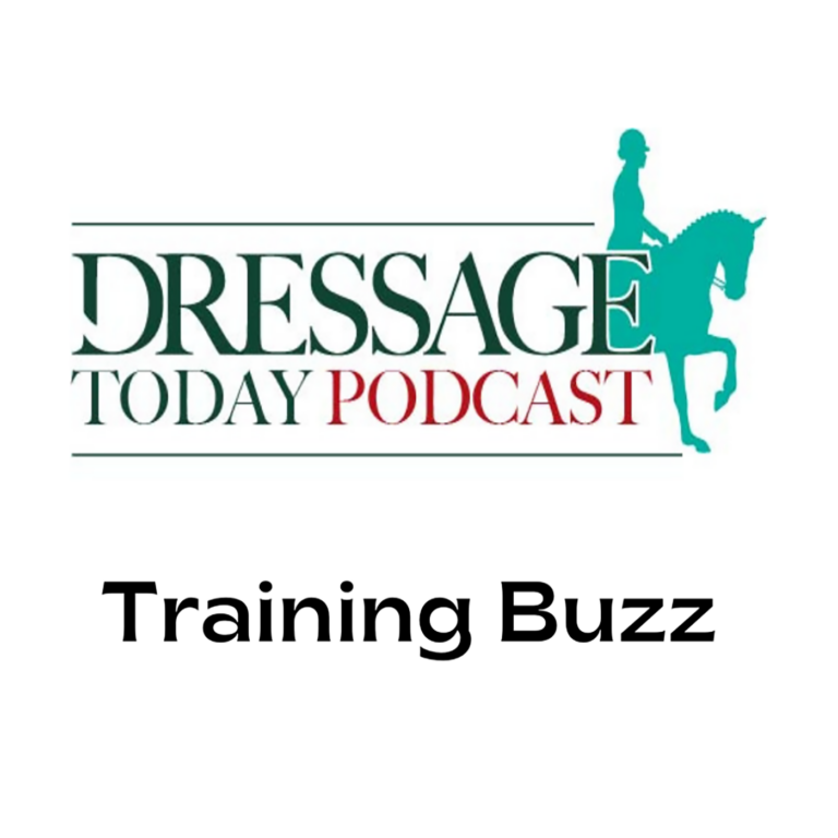 Training Buzz: Philosophy of Leading Your Horse