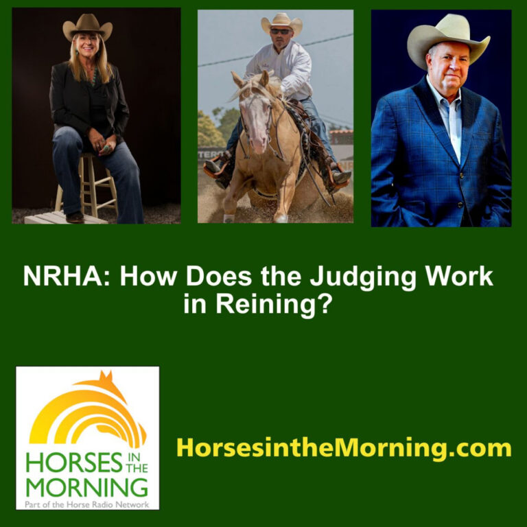 NRHA for May 11, 2023: How Does the Judging Work in Reining?