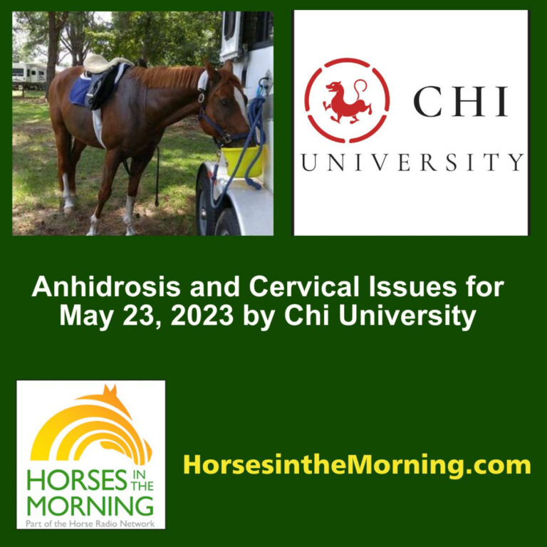 Anhidrosis and Cervical Issues for May 23, 2023 by Chi University