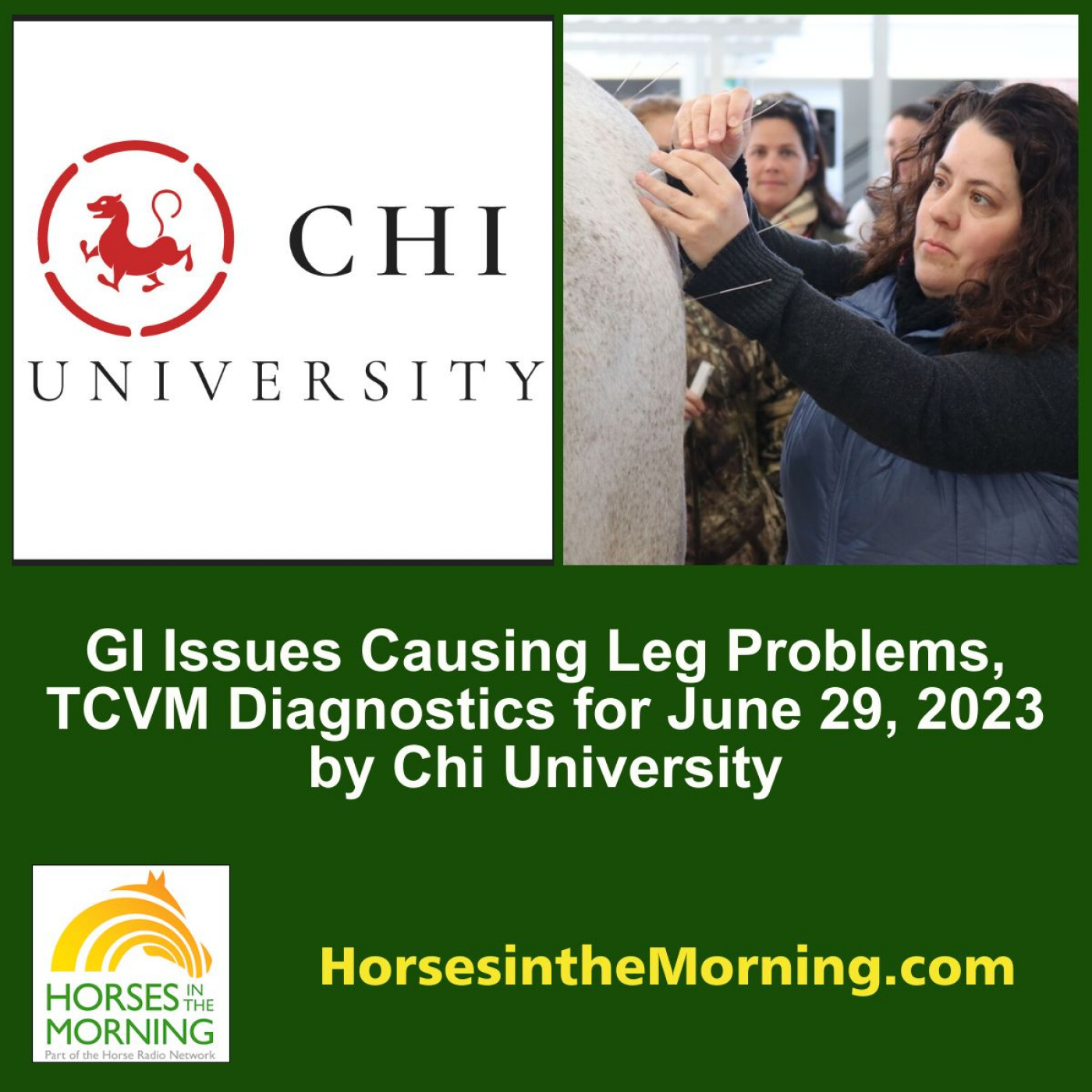 gi-issues-causing-leg-problems-tcvm-diagnostics-for-june-29-2023-by