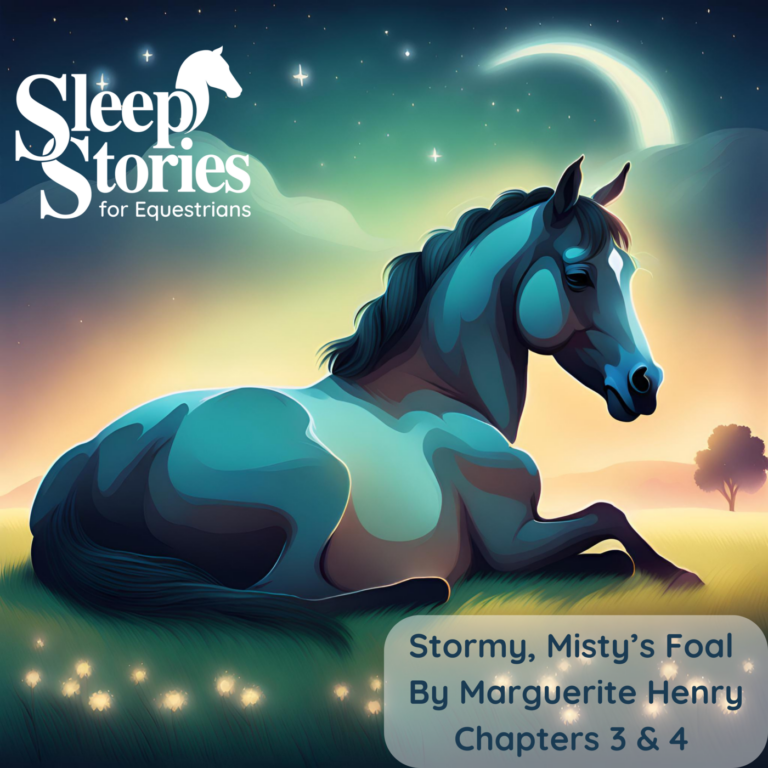 Stormy, Misty’s Foal by Marguerite Henry