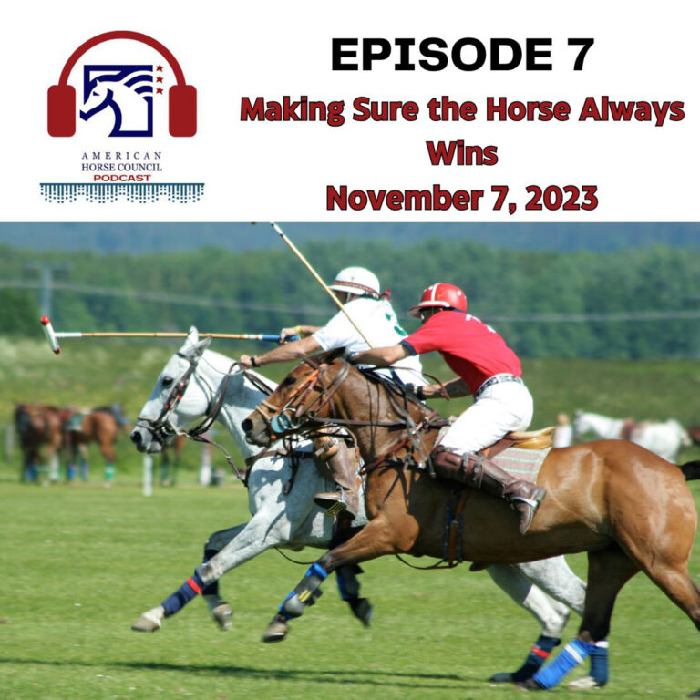 Making Sure the Horse Always Wins for November 7, 2023 by American Horse Council