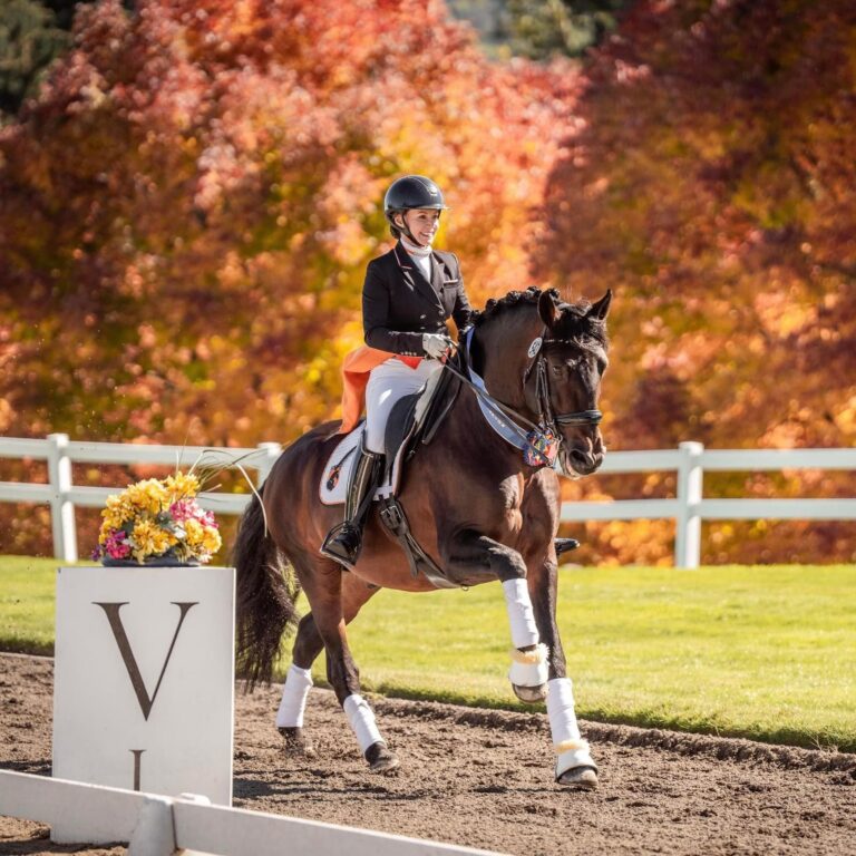 [Aggregator] Downloaded image for imported item #281556