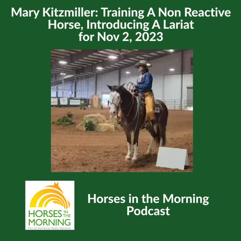 Mary Kitzmiller: Training A Non Reactive Horse, Introducing A Lariat for Nov 2, 2023